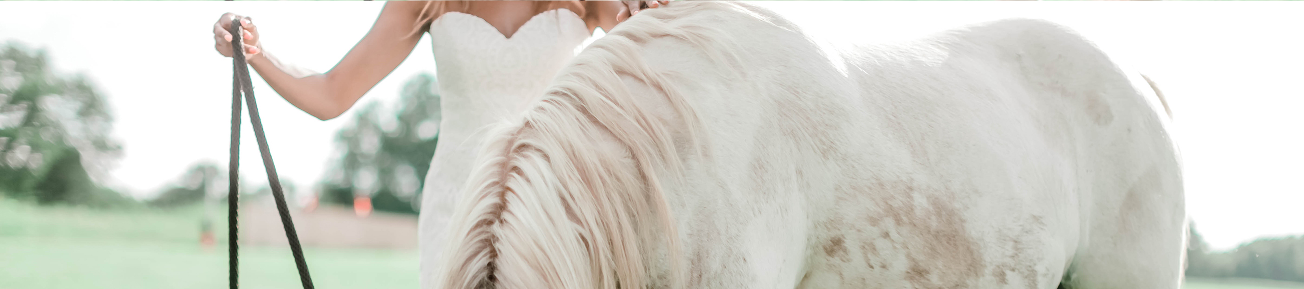 ranch wedding bride with horse